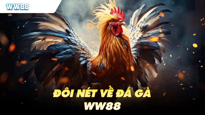 đá gà Ww88